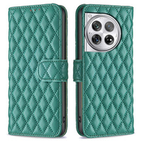 Flip case for OnePlus 12 5G, Wallet, BINFEN COLOR, green
