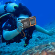 Shellbox 2nd gen waterproof case for smartphones 4.7 - 6.7 inches