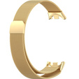 Milanese Bracelet Strap with Case for Xiaomi Smart Band 10 / 9 / 8, gold