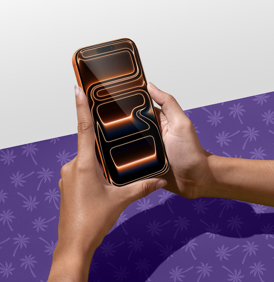 Shy Palm Privacy Tempered Glass for iPhone 17 Pro