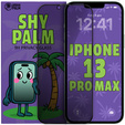 Shy Palm Privacy Tempered Glass for iPhone 13 Pro Max