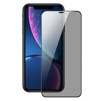 Dux Ducis Anti Spy Tempered Glass for iPhone XR / 11