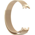 Milanese Bracelet Strap with Case for Xiaomi Smart Band 10 / 9 / 8, champagne