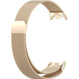 Milanese Bracelet Strap with Case for Xiaomi Smart Band 10 / 9 / 8, champagne