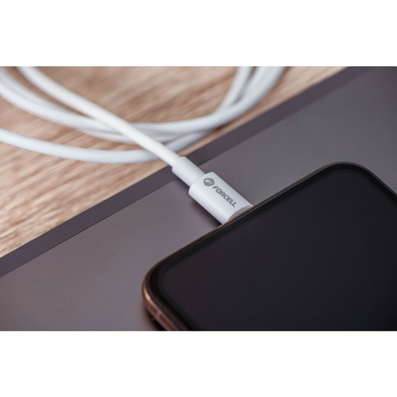 Forcell F-Energy USB-C to USB-C cable for fast charging QC4.0 PD 5A 100W 2 m