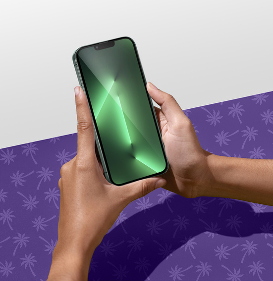 Shy Palm Privacy Tempered Glass for iPhone 13 Pro Max