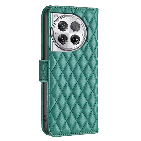 Flip case for OnePlus 12 5G, Wallet, BINFEN COLOR, green