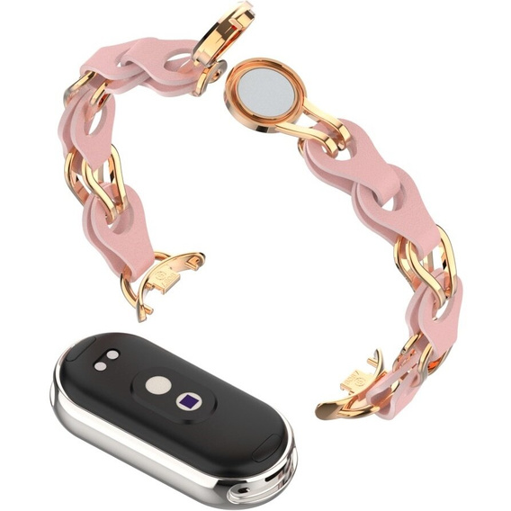 Stainless Steel Watch Strap with Protective Case for Apple Watch, Silver