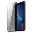 Dux Ducis Anti Spy Tempered Glass for iPhone XR / 11