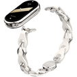Stainless Steel Watch Strap with Protective Case for Apple Watch, Silver